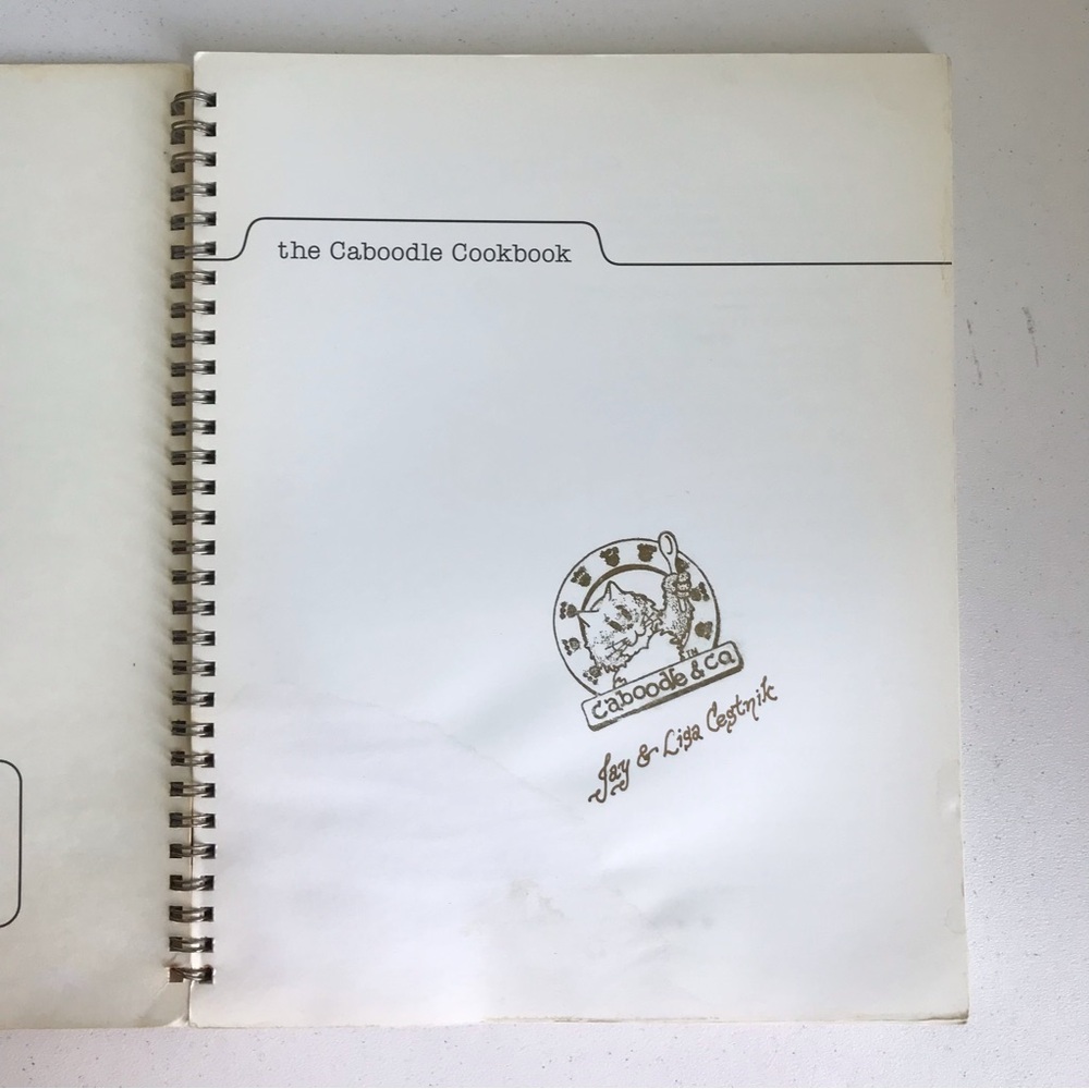 Vintage 90s Rare Caboodle Cookbook by Jay & Lisa Cestnik - Picture 3 of 11